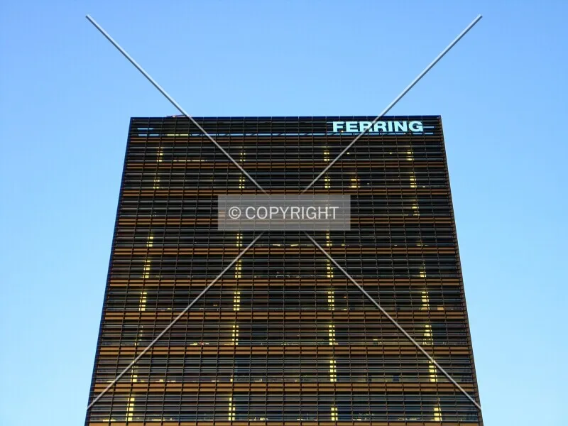 Photo 295-153-462