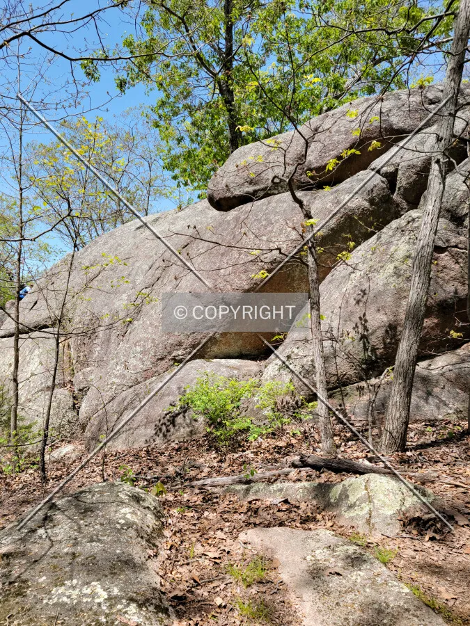 Photo 295-190-521