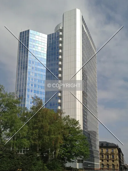 Photo 295-219-382