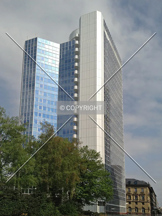 Photo 295-219-382