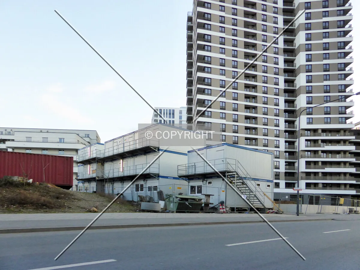 Photo 295-251-475