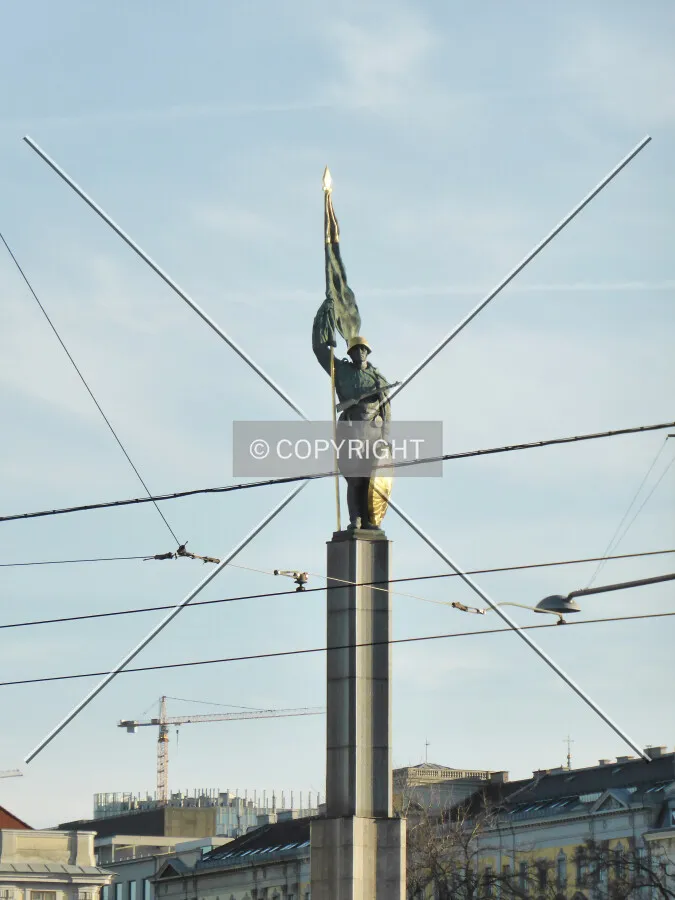 Photo 295-275-297