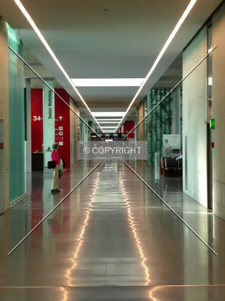 Photo 295-322-784