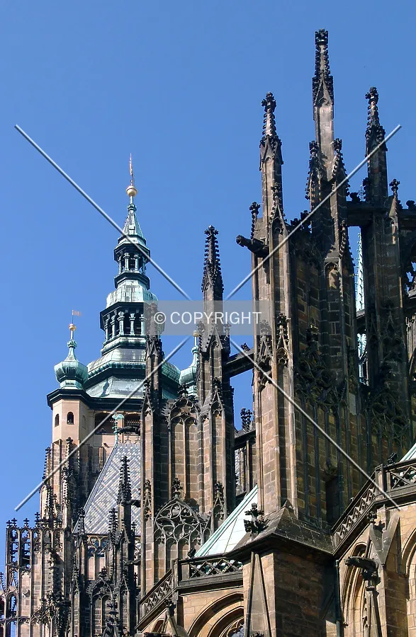 Photo 295-440-972