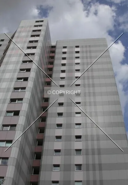 Photo 295-460-818