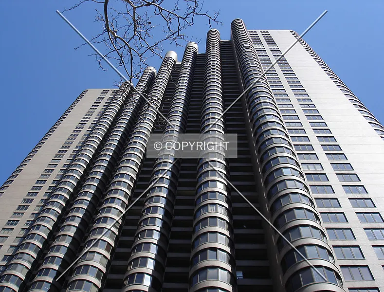 Photo 295-556-685