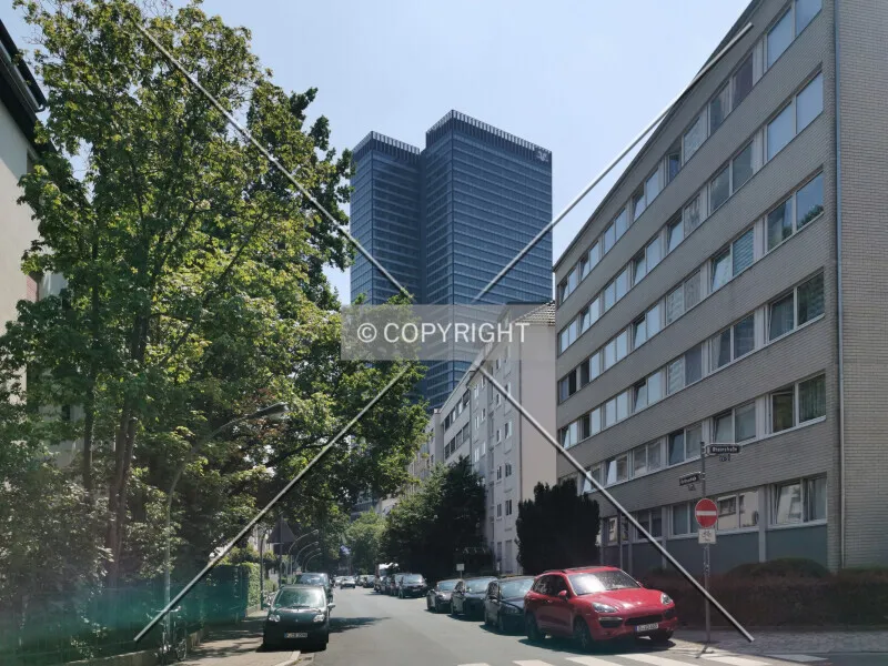 Photo 295-638-632