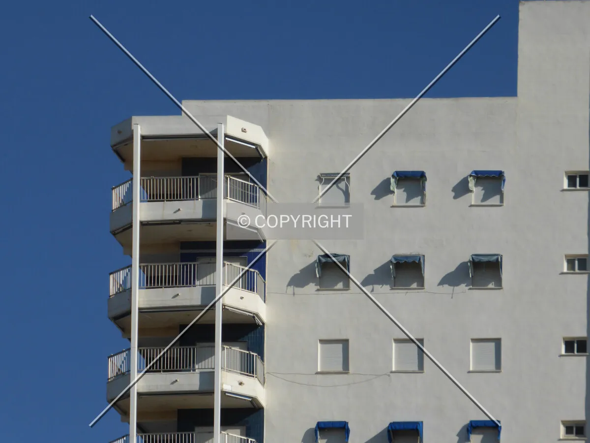 Photo 295-710-263