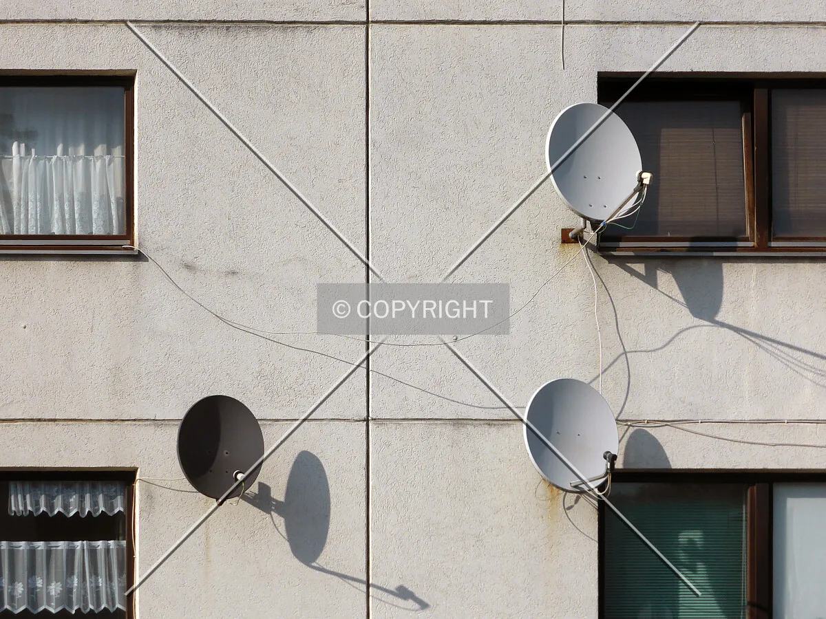Photo 295-943-643