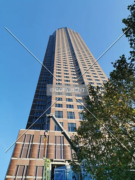 296-042-542