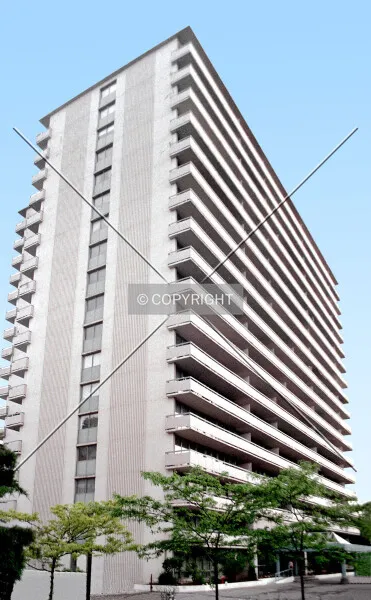 Photo 296-201-282