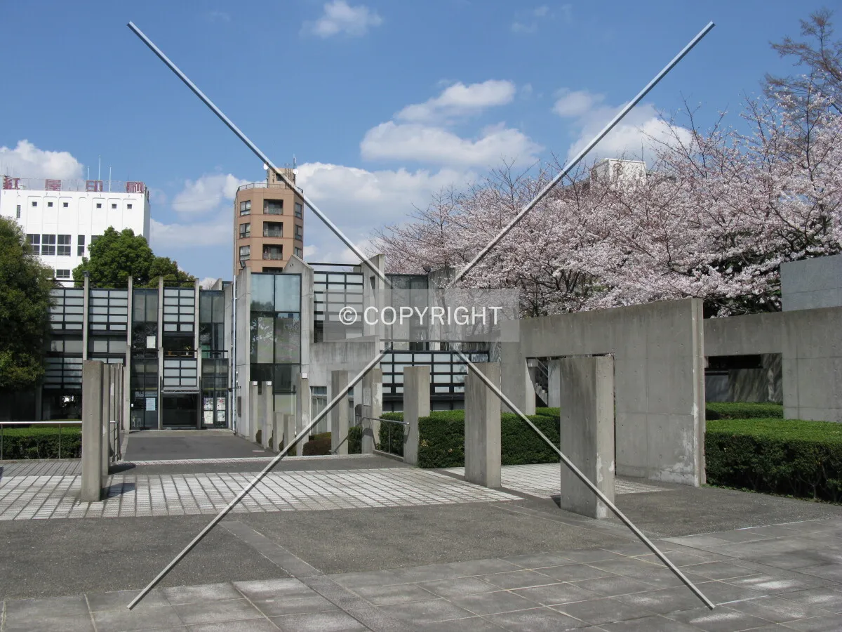 Photo 296-224-287