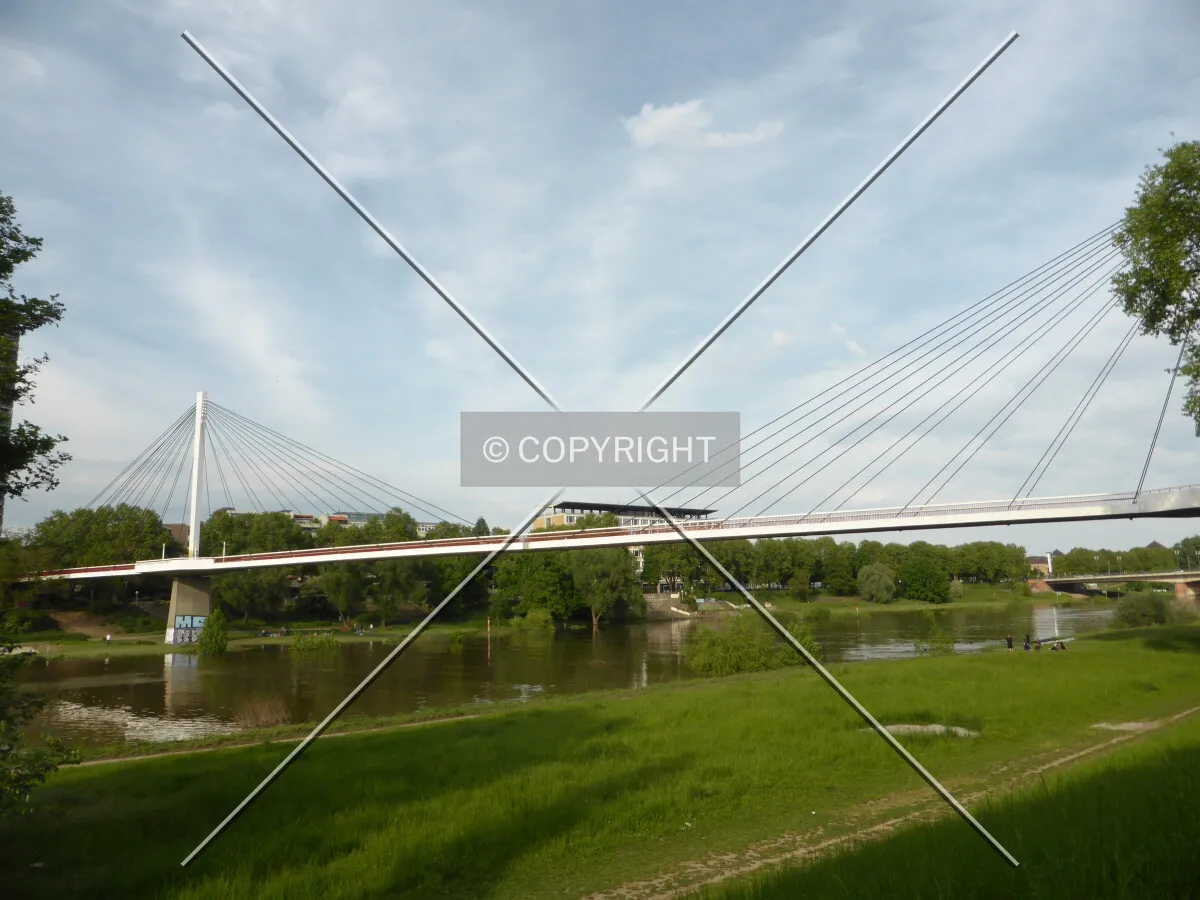 Photo 296-295-736