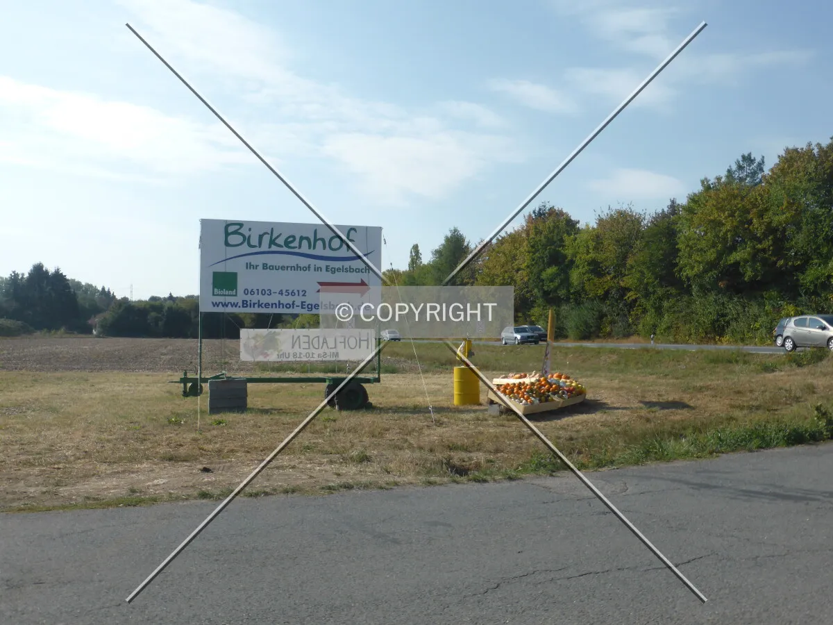 Photo 296-297-213