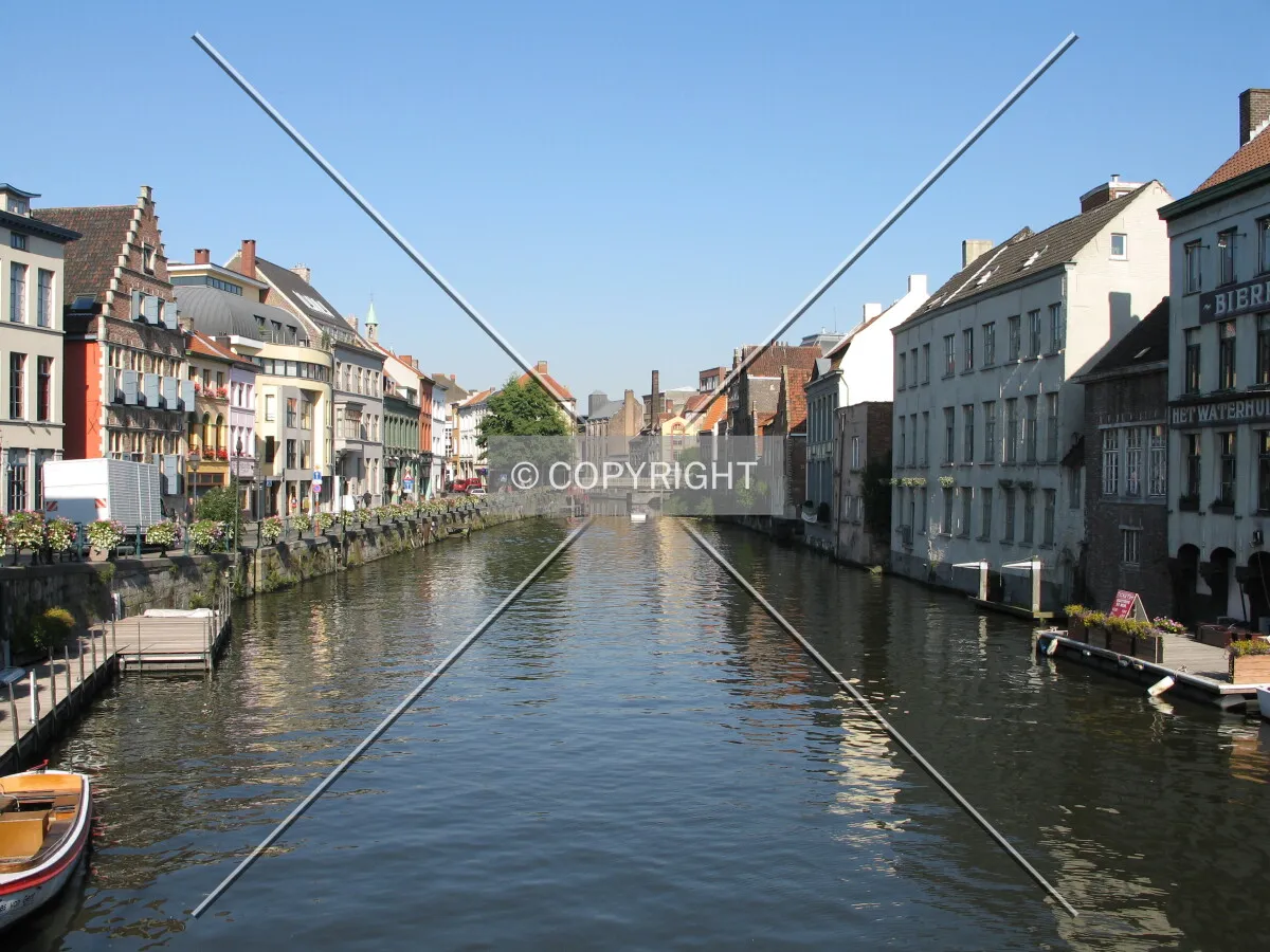 View on the Lieve branch