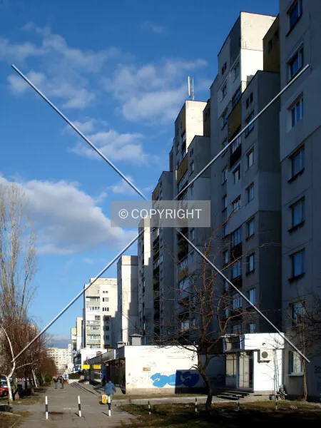 Photo 296-594-807