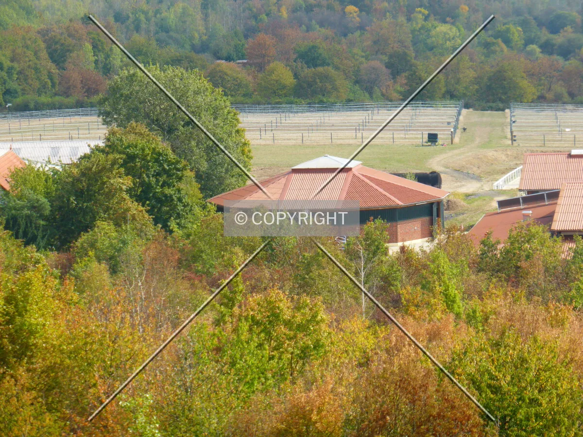Photo 297-110-524
