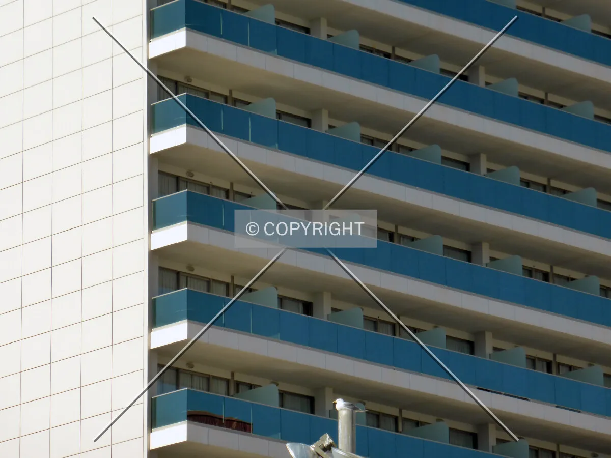 Photo 297-316-414