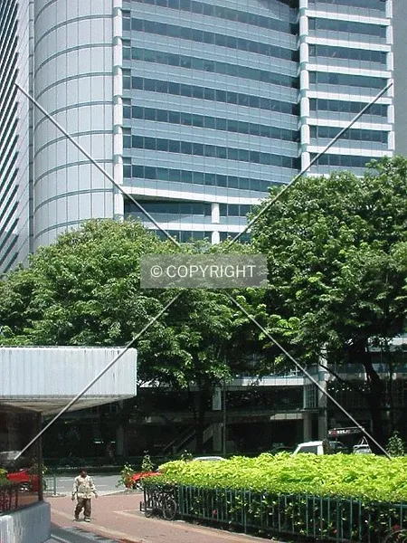 Photo 297-412-230