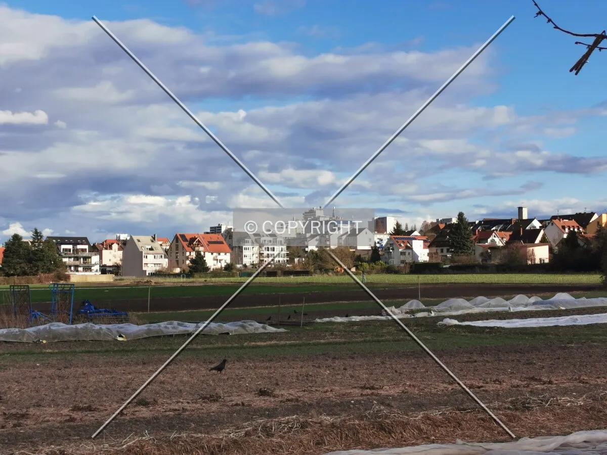 Fields in Frankfurt-Oberrad