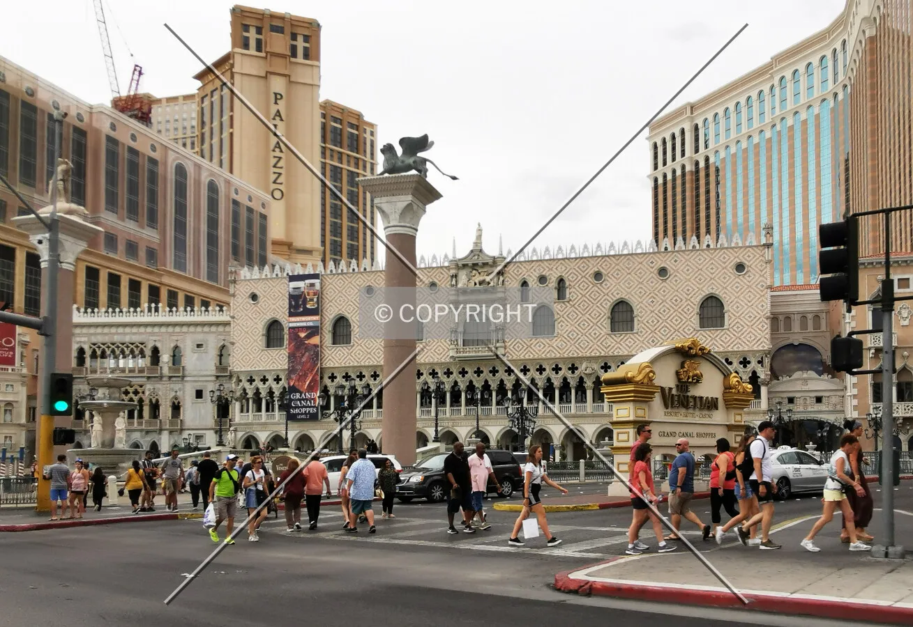 Photo 297-716-701