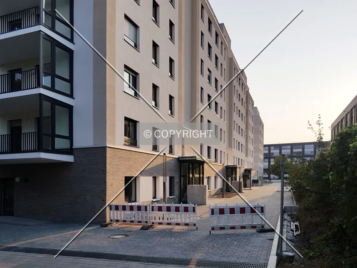 Photo 297-793-714