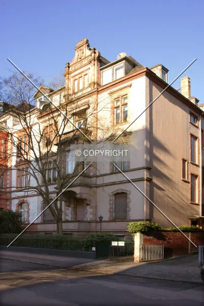 Photo 297-809-782