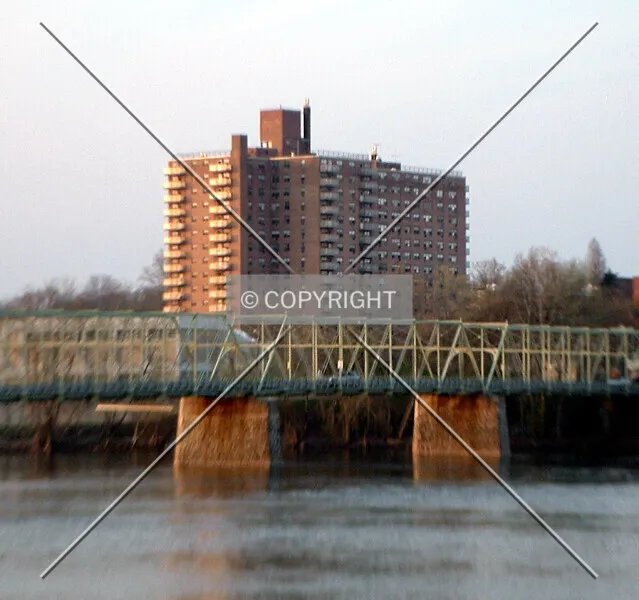 Photo 297-971-275