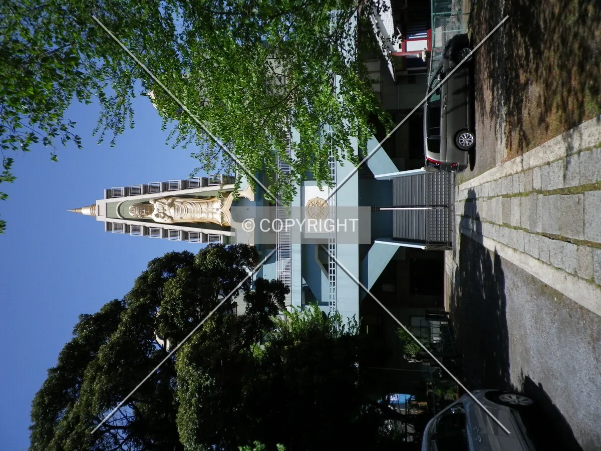 Photo 298-122-894