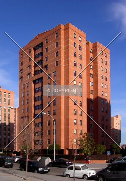Photo 298-229-952