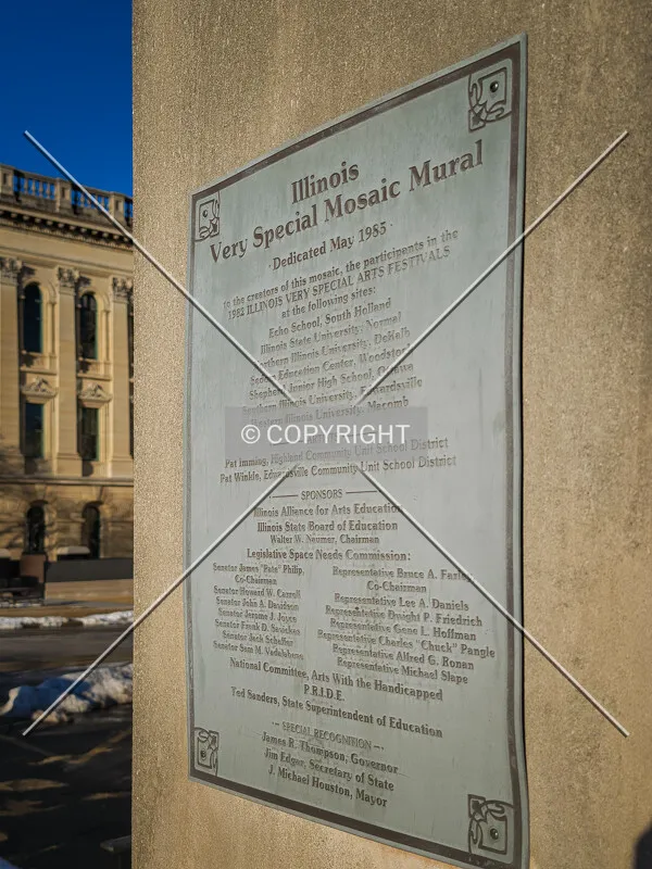 Description of the mosaic, Sunday, February 20, 2022