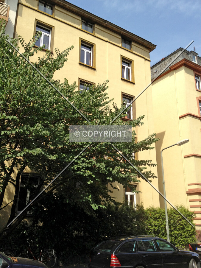 Photo 298-330-738