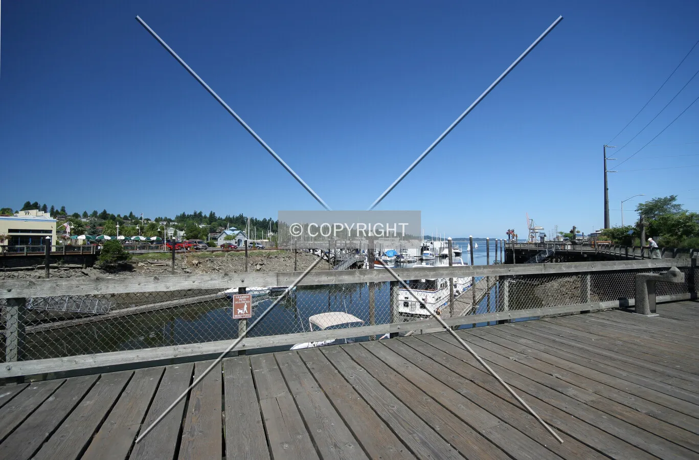 View from Percival Landing Park