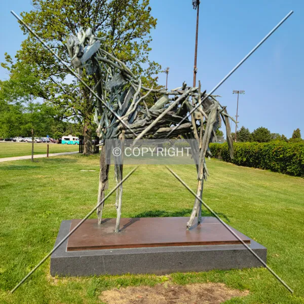 Photo 298-413-719