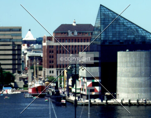 Photo 298-570-749