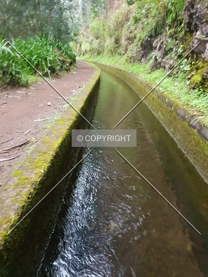 Levada da Ribeira da Janela