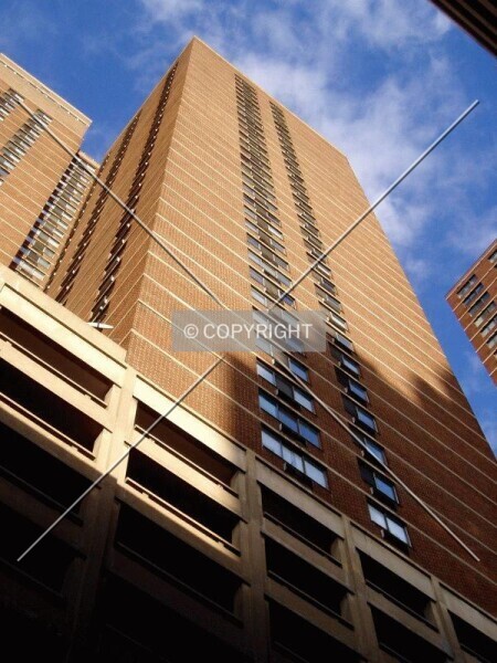 Photo 298-984-784