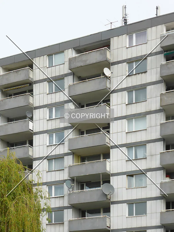 Photo 299-026-456