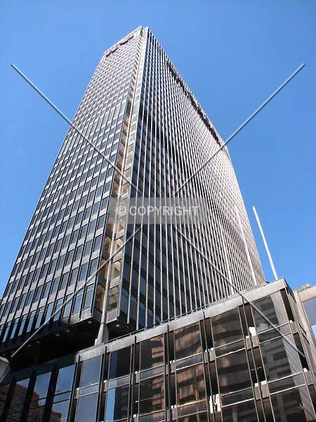 Photo 299-217-958