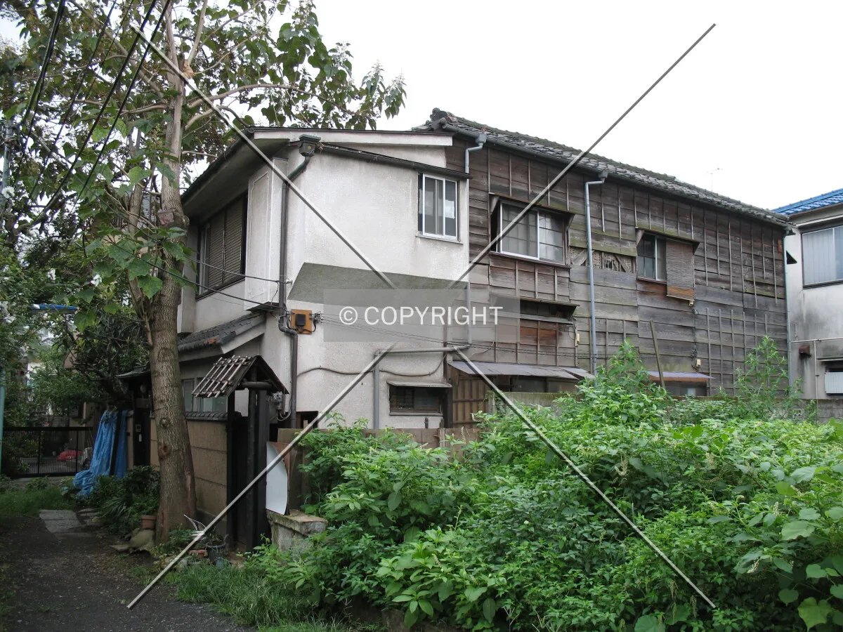 Photo 299-273-445