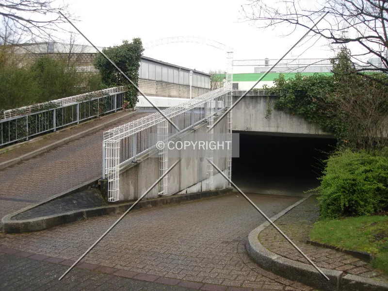 Photo 299-283-321