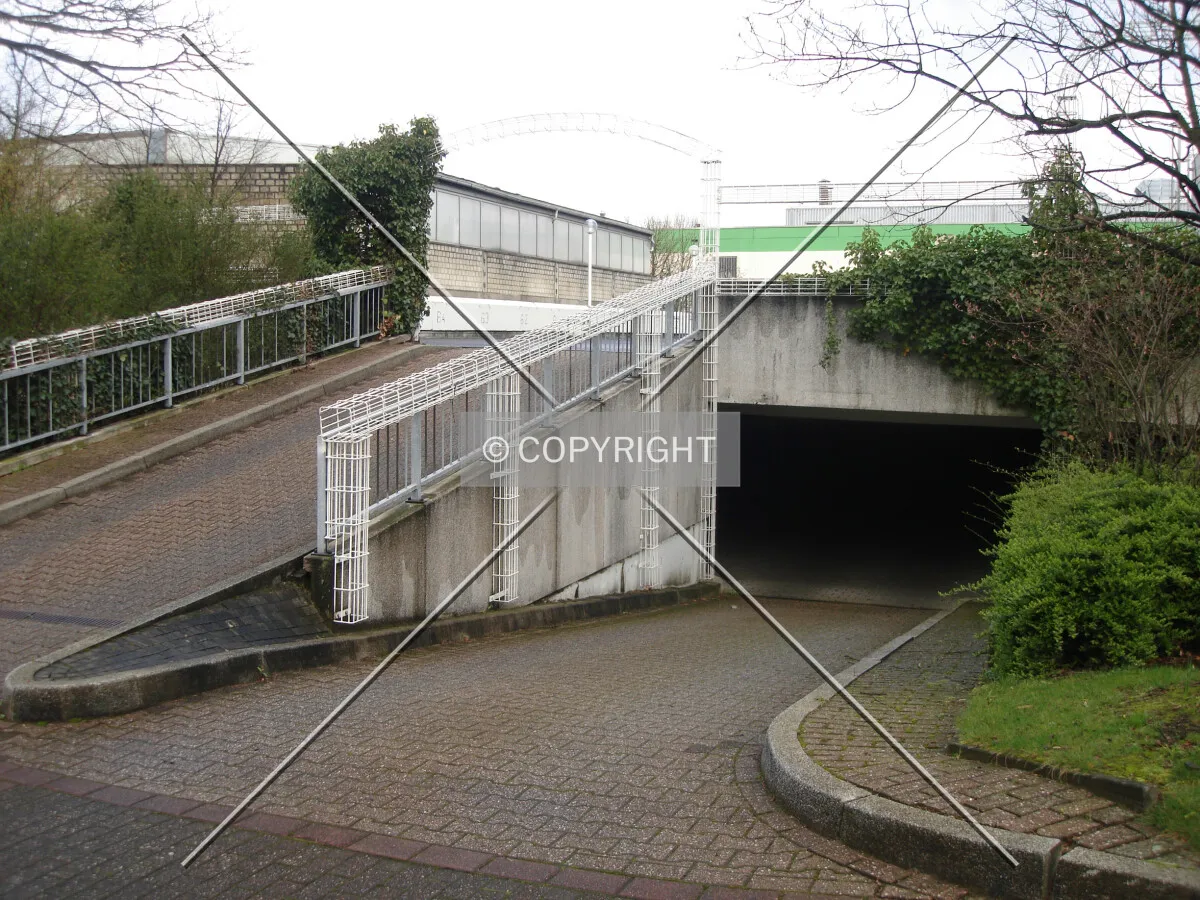 Photo 299-283-321