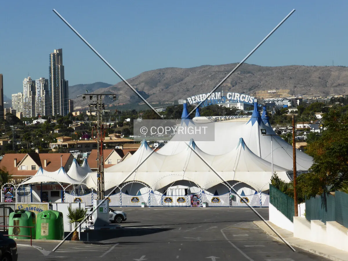 Photo 299-355-987