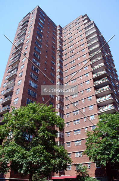 Photo 299-717-981