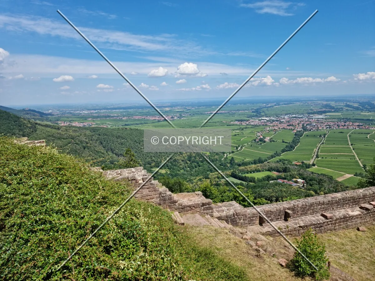 Photo 299-769-264