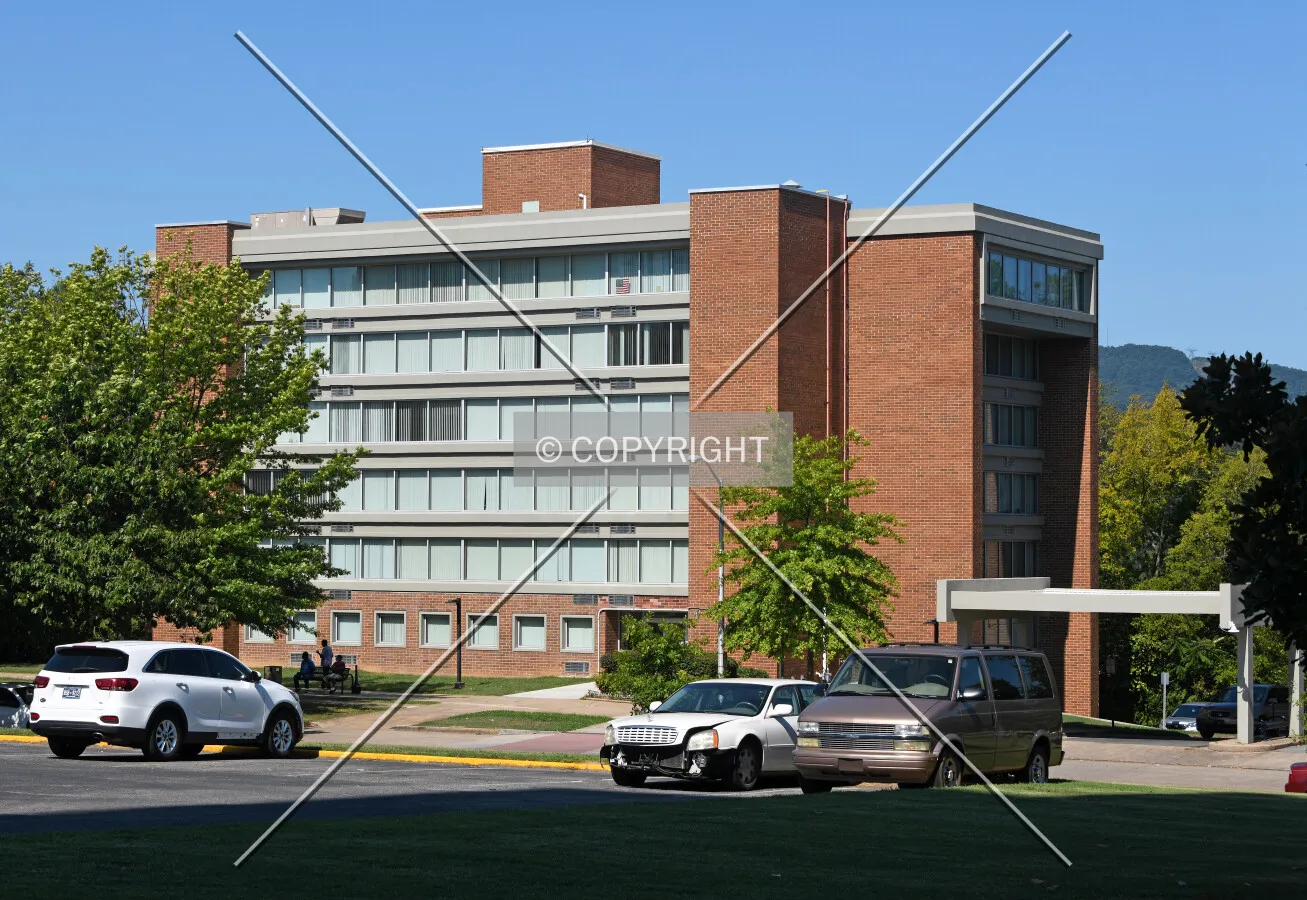 View from the east