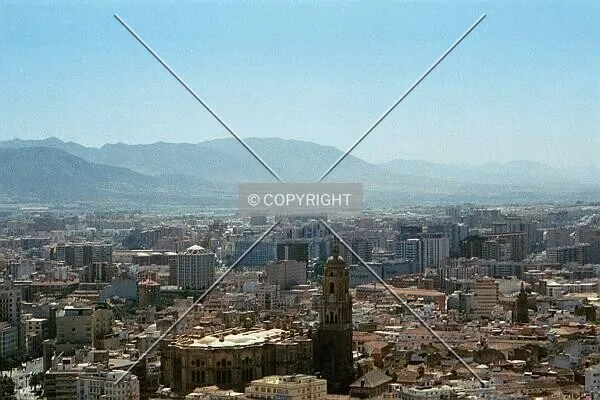 Photo 300-036-477