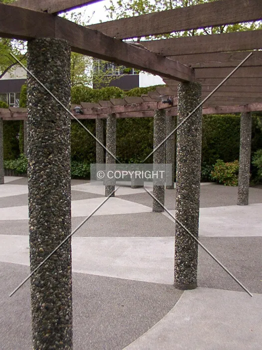 Trellis ring around the pool