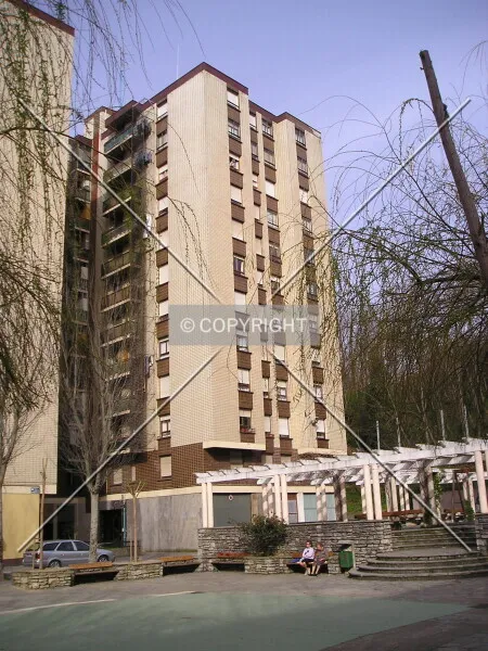 Photo 300-569-424