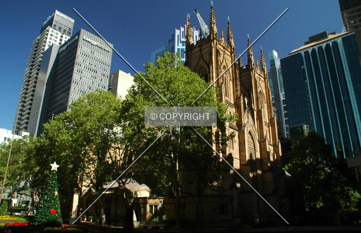 View from Sydney Square